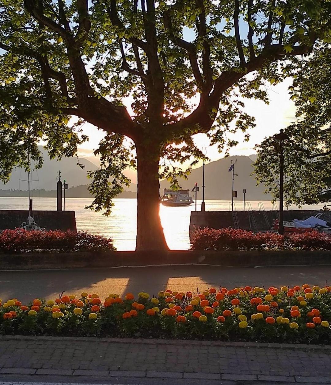 Lily Lake Maggiore Лавено Экстерьер фото